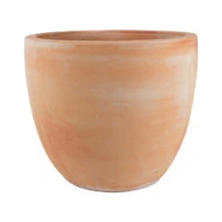 Terracotta Plant Pot 14 Terracotta Plant Pot -Hortology Plants Shop Couple extra large