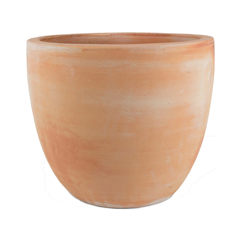 Terracotta Plant Pot 7 Terracotta Plant Pot - Image 5