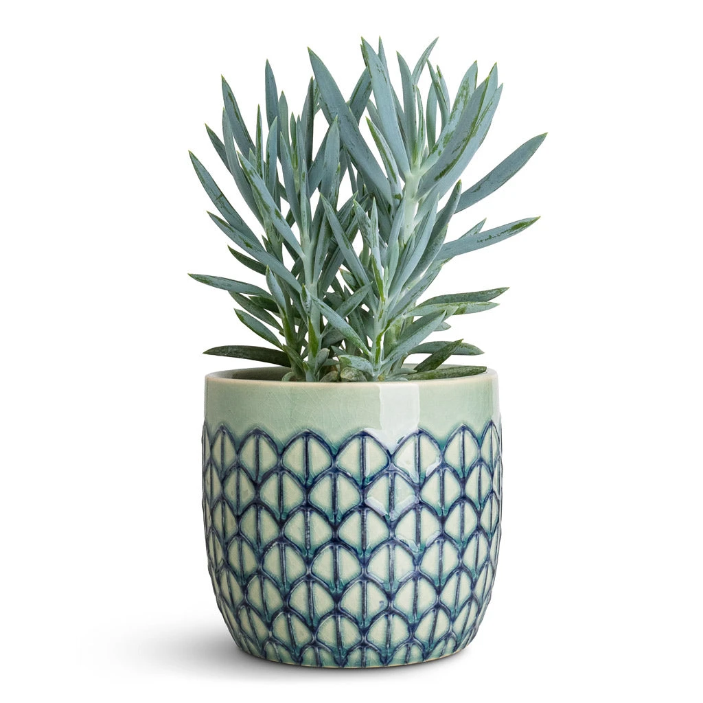 Geo Plant Pot - Jade Green 7 Geo Plant Pot - Jade Green - Image 5