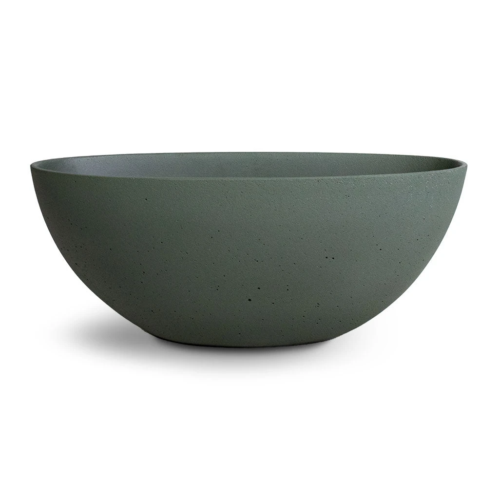 Dorant Refined Oval Plant Bowl - Pine Green 5 Dorant Refined Oval Plant Bowl - Pine Green - Image 3