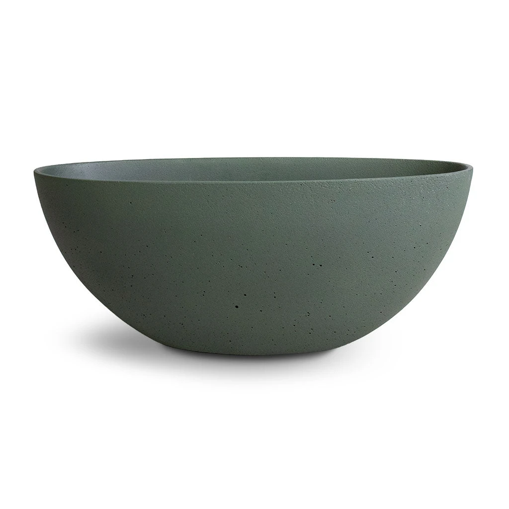 Dorant Refined Oval Plant Bowl - Pine Green 6 Dorant Refined Oval Plant Bowl - Pine Green - Image 4
