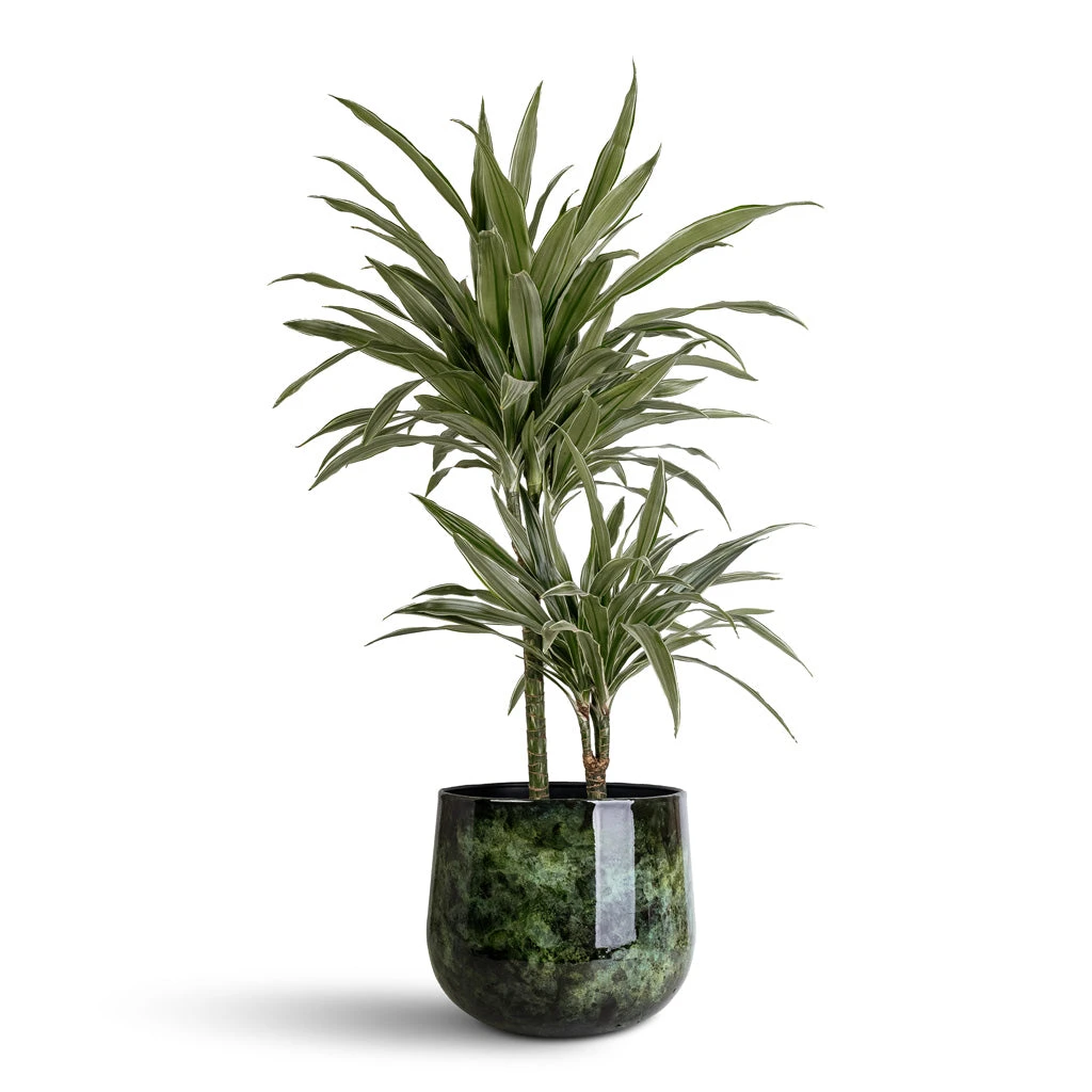 Emmie Metal Plant Pot - Mystic Green 12 Emmie Metal Plant Pot - Mystic Green - Image 10