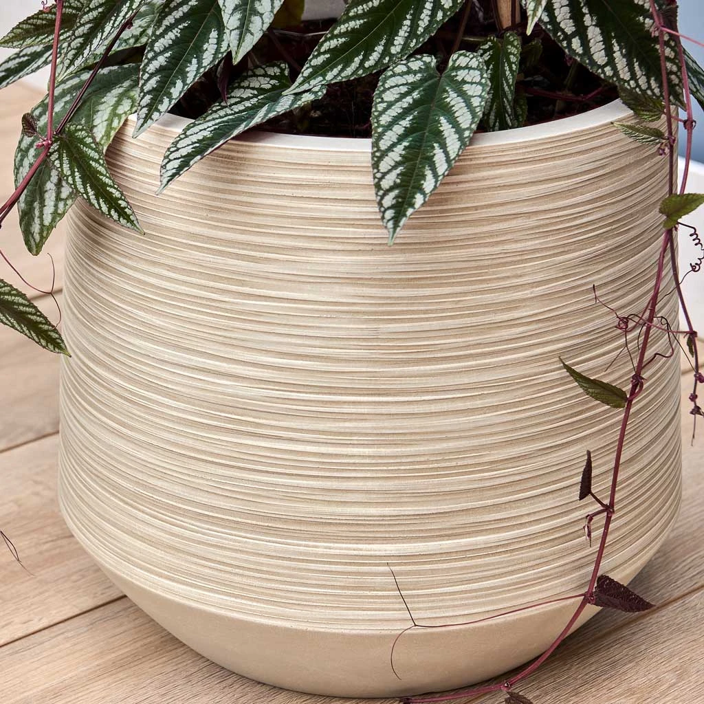 Dune Darcy Planter - Oat 5 Dune Darcy Planter - Oat - Image 3