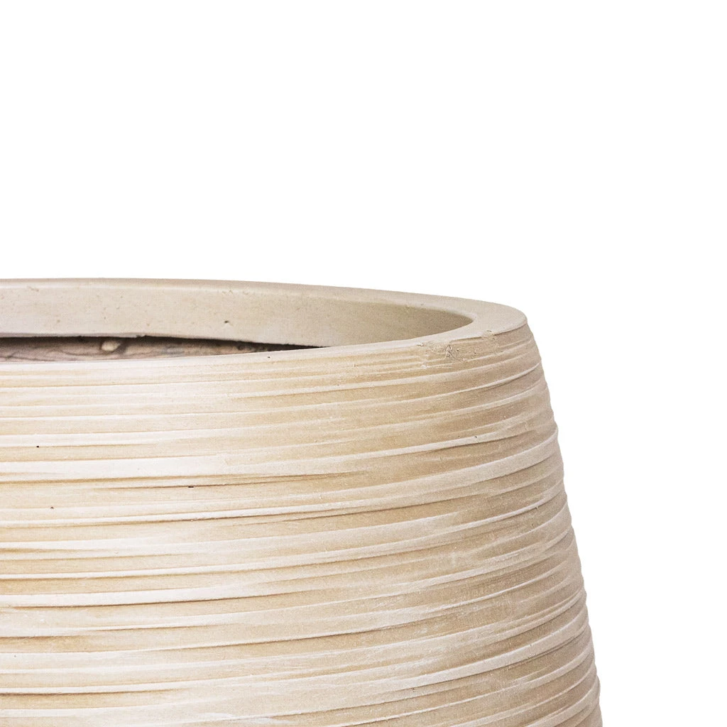 Dune Emperor Planter - Oat 6 Dune Emperor Planter - Oat - Image 4