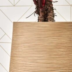 Dune Partner Planter - Almond -Hortology Plants Shop Dune Partner Planter Almond Close Up 1