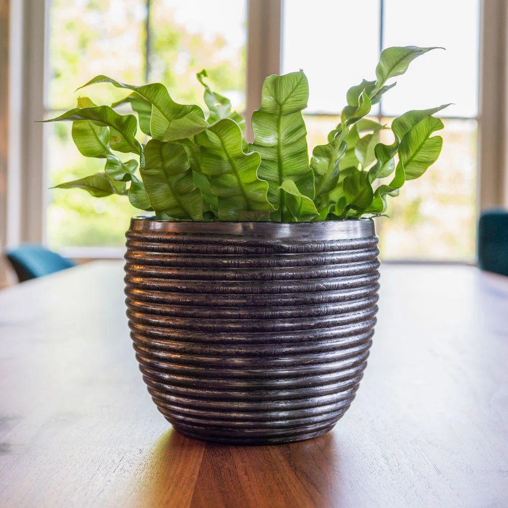 Elise Metal Plant Pot - Lead 4 Elise Metal Plant Pot - Lead - Image 2