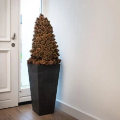 Ella Artstone Tall Planter - Black -Hortology Plants Shop Ella Artstone Tall Planter Black 1