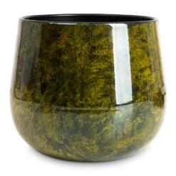 Emmie Metal Plant Pot - Mystic Yellow 19 Emmie Metal Plant Pot - Mystic Yellow -Hortology Plants Shop Emmie Metal Pot Mystic Yellow 15x13cm ace3bfd1 71a1 46a5 8d00 c7eae0284fa6