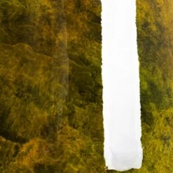 Emmie Metal Plant Pot - Mystic Yellow 21 Emmie Metal Plant Pot - Mystic Yellow -Hortology Plants Shop Emmie Metal Pot Mystic Yellow SWATCH