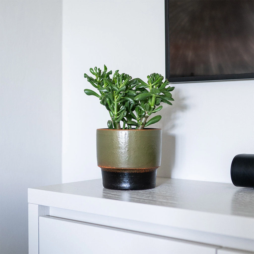 Erik Plant Pot - Dark Olive 4 Erik Plant Pot - Dark Olive - Image 2