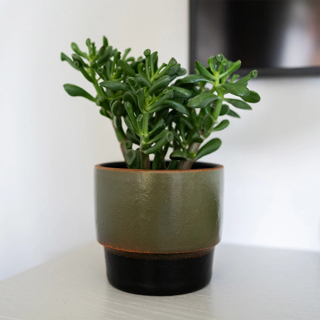 Erik Plant Pot - Dark Olive 11 Erik Plant Pot - Dark Olive - Image 9