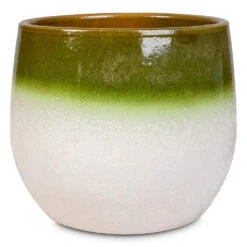 Fem Plant Pot - Pear Green 12 Fem Plant Pot - Pear Green -Hortology Plants Shop Fem Pot Pear Green 22x19cm