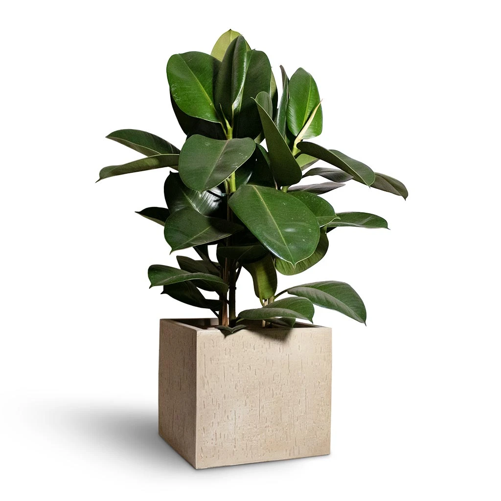 Raindrop Cube Planter - Stone 11 Raindrop Cube Planter - Stone - Image 9
