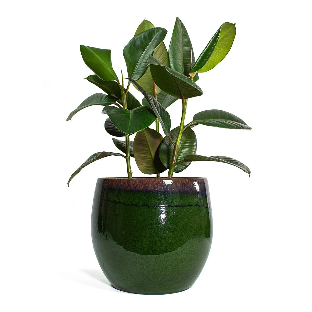 Charlotte Plant Pot - Green 20 Charlotte Plant Pot - Green - Image 18