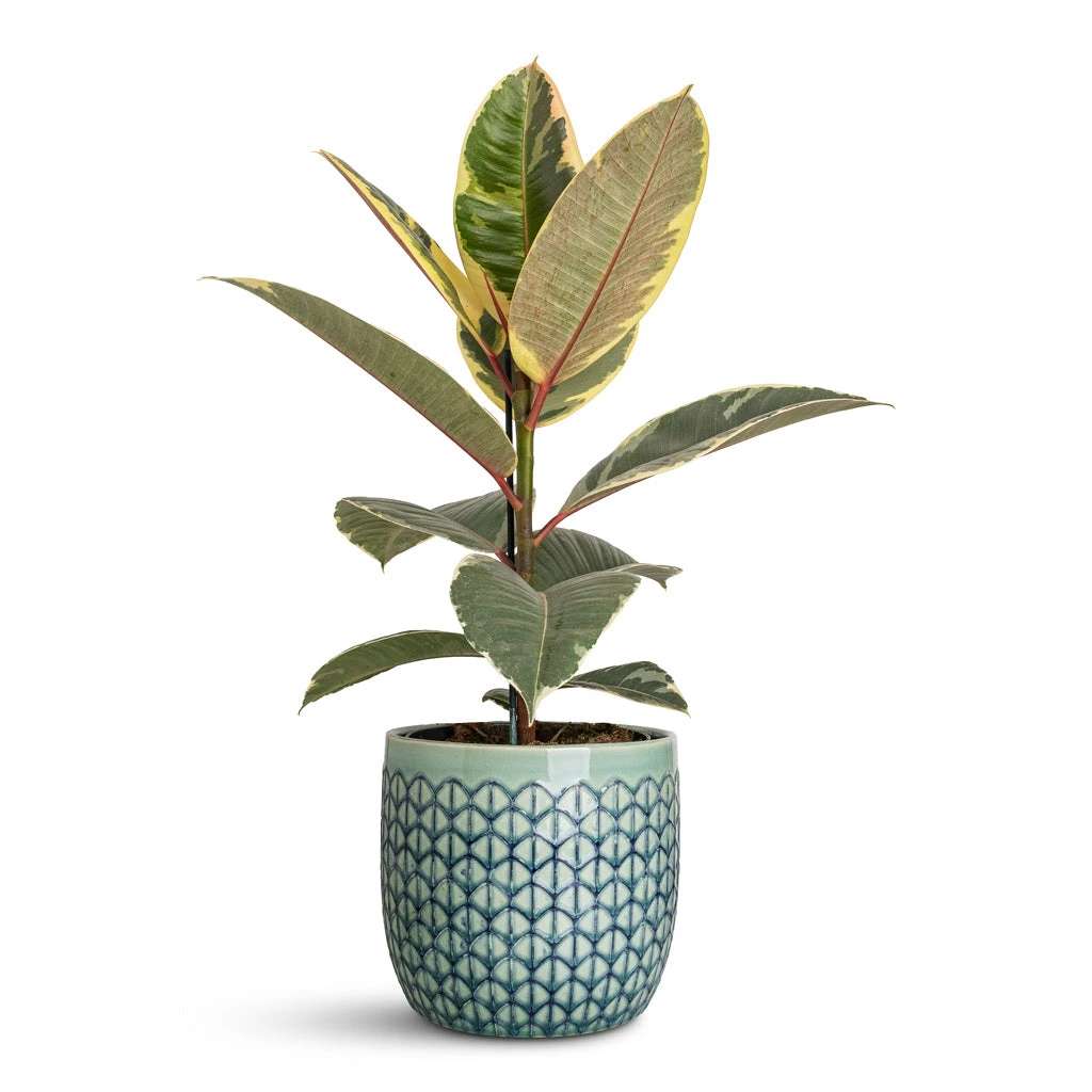 Geo Plant Pot - Jade Green 8 Geo Plant Pot - Jade Green - Image 6