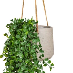 Patt Hanging Plant Pot - Grey Washed -Hortology Plants Shop Ficus pumila Hanging Bush Artificial 80cm 6 stems Patt Hanging Pot Grey Washed 20x17cm 2
