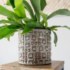 Fiene Plant Pot - Grey -Hortology Plants Shop Fiene Grey 2