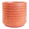 Flor Plant Pot - Orange 1 Flor Plant Pot - Orange -Hortology Plants Shop Flor Orange Pink