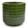 Flor Plant Pot - Green 2 Flor Plant Pot - Green -Hortology Plants Shop Flor Plant Pot Green 18x16cm