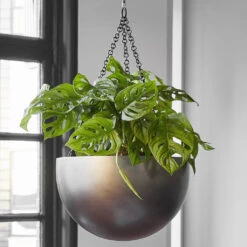 Gradient Hanging Plant Bowl - Matt Coffee 9 Gradient Hanging Plant Bowl - Matt Coffee -Hortology Plants Shop Gradient Hanging Bowl Matt Coffee