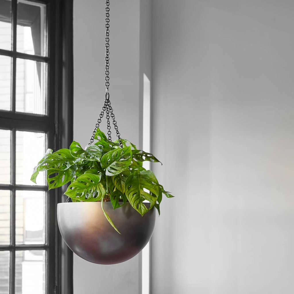 Gradient Hanging Plant Bowl - Matt Coffee 4 Gradient Hanging Plant Bowl - Matt Coffee - Image 2