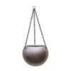 Gradient Hanging Plant Globe - Matt Coffee -Hortology Plants Shop Gradient Hanging Plant Globe Matt Coffee 24x19cm