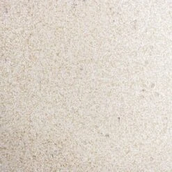 Grigio Cylinder Planter - Antique White Concrete 18 Grigio Cylinder Planter - Antique White Concrete -Hortology Plants Shop Grigio Antique White Concrete Swatch 2 6dfea8ca 4113 4a76 b35a ac88b94b73fe