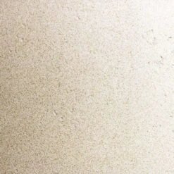 Grigio Cylinder Planter - Antique White Concrete 17 Grigio Cylinder Planter - Antique White Concrete -Hortology Plants Shop Grigio Antique White Concrete Swatch 167065bf 1dff 489a af09 98fb55100f44