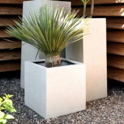 Grigio Cube Planter - Antique White Concrete 13 Grigio Cube Planter - Antique White Concrete -Hortology Plants Shop Grigio Cube High Cube Antique White