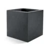 Grigio Cube Planter - Anthracite Concrete 2 Grigio Cube Planter - Anthracite Concrete -Hortology Plants Shop Grigio Cube Planter Anthracite Concrete