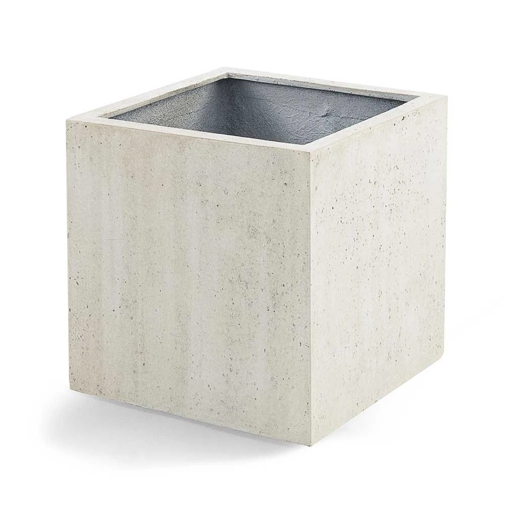 Grigio Cube Planter - Antique White Concrete 7 Grigio Cube Planter - Antique White Concrete - Image 5