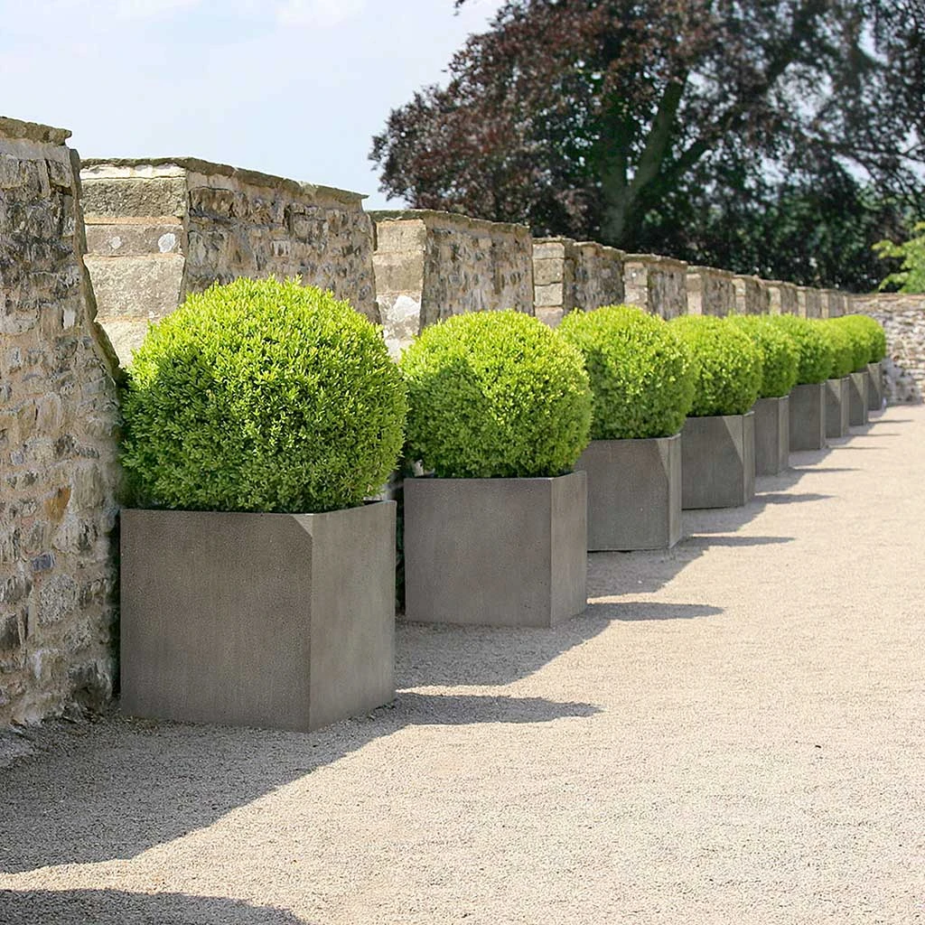 Grigio Cube Planter - Natural Concrete 5 Grigio Cube Planter - Natural Concrete - Image 3
