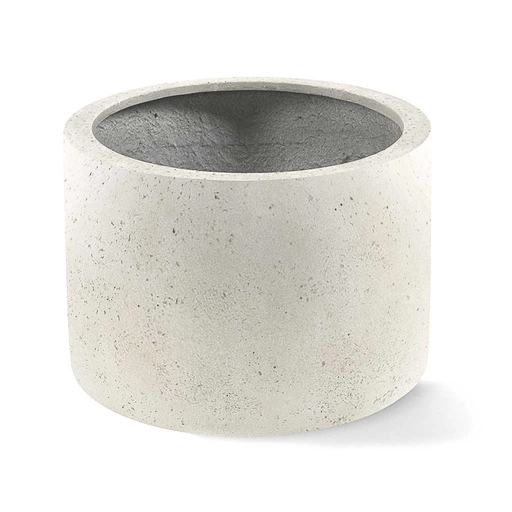 Grigio Cylinder Planter - Antique White Concrete 3 Grigio Cylinder Planter - Antique White Concrete