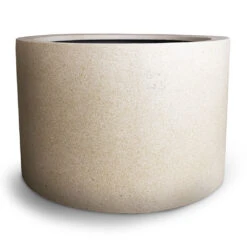 Grigio Cylinder Planter - Antique White Concrete 14 Grigio Cylinder Planter - Antique White Concrete -Hortology Plants Shop Grigio Cylinder Planter Antique White Concrete 08a9cf77 9256 45e9 ad31 bae730a64d75