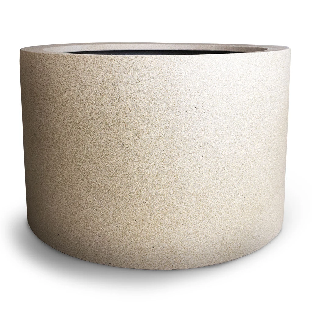 Grigio Cylinder Planter - Antique White Concrete 6 Grigio Cylinder Planter - Antique White Concrete - Image 4