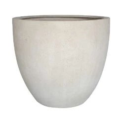 Grigio Egg Pot Planter - Antique White Concrete 18 Grigio Egg Pot Planter - Antique White Concrete -Hortology Plants Shop Grigio Egg Pot Planter Antique White Concrete Style