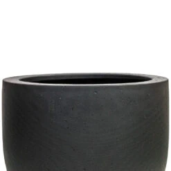 Grigio New Egg Pot Planter - Anthracite Concrete -Hortology Plants Shop Grigio New Egg Pot Planter Anthracite Concrete DETAIL 2