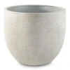 Grigio New Egg Pot Planter - Antique White Concrete 2 Grigio New Egg Pot Planter - Antique White Concrete -Hortology Plants Shop Grigio New Egg Pot Planter Antique White Concrete 80x66cm