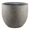 Grigio New Egg Pot Planter - Natural Concrete 1 Grigio New Egg Pot Planter - Natural Concrete -Hortology Plants Shop Grigio New Egg Pot Planter Natural Concrete 80x66cm