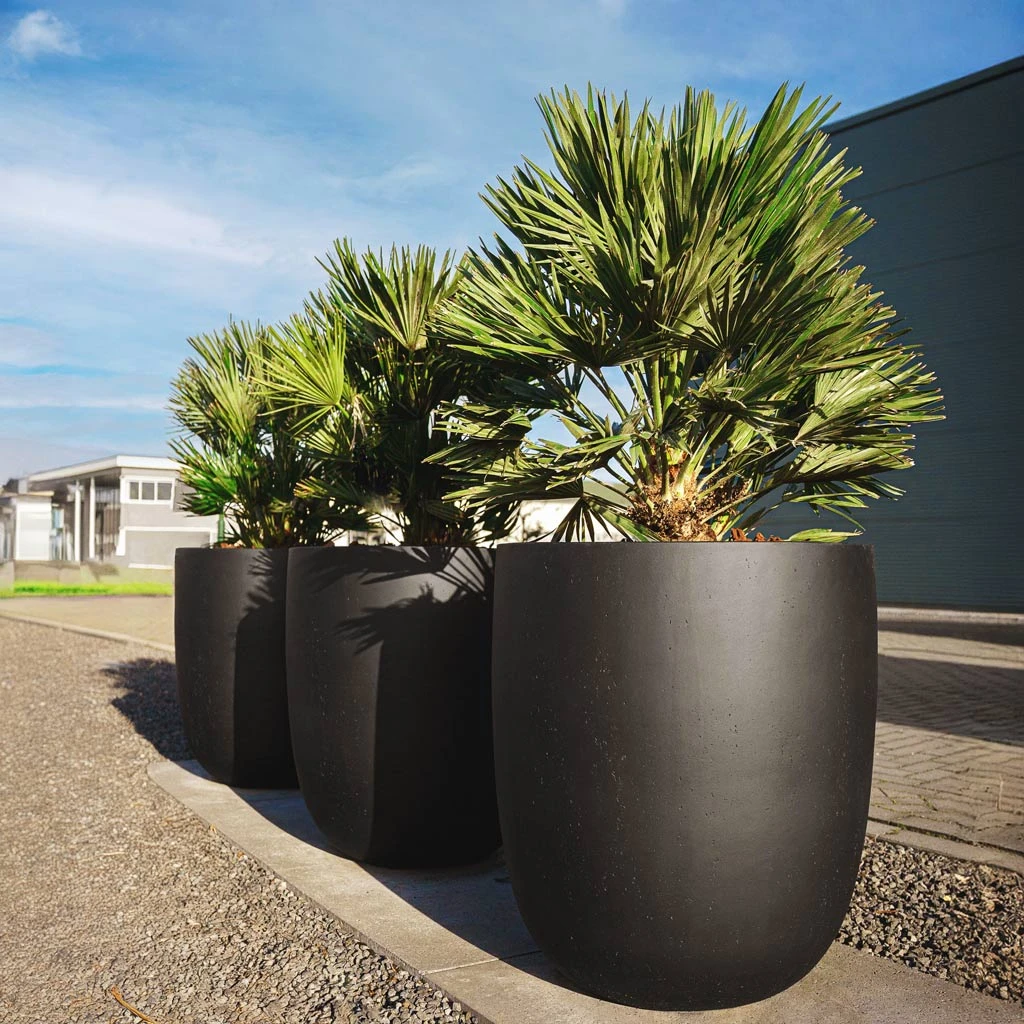 Grigio Tall Egg Pot Planter - Anthracite Concrete 4 Grigio Tall Egg Pot Planter - Anthracite Concrete - Image 2