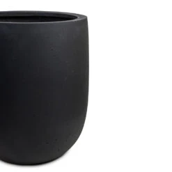 Grigio Tall Egg Pot Planter - Anthracite Concrete 11 Grigio Tall Egg Pot Planter - Anthracite Concrete -Hortology Plants Shop Grigio Tall Egg Pot Planter Anthracite Concrete DETAIL 2