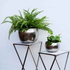 Hammered Bowl - Nickel With Black -Hortology Plants Shop Hammered Bowl Nickel Black LS1