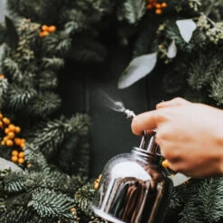 Haws Smethwick Spritzer In Nickel -Hortology Plants Shop Haws Smethwick Spritzer in Nickel 2