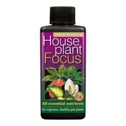 Houseplant Focus - Plant Nutrition -Hortology Plants Shop Houseplant Focus 100 ml 7b606a0c 1d23 4a0e 9471 fe786b5dbcb8
