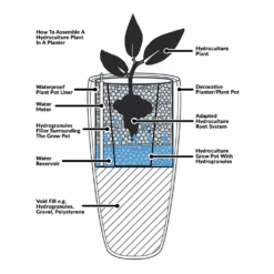 Ficus Moclame - HydroCare 20 Ficus Moclame - HydroCare -Hortology Plants Shop Hydroculture Planter Diagram 112b22b9 51a5 4a70 9651 28be0659f140