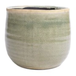 Iris Plant Pot - Mint 27 Iris Plant Pot - Mint -Hortology Plants Shop Iris Plant Pot Mint 14x12cm 2 d3b70979 f83e 4336 950a 81654e0a5506