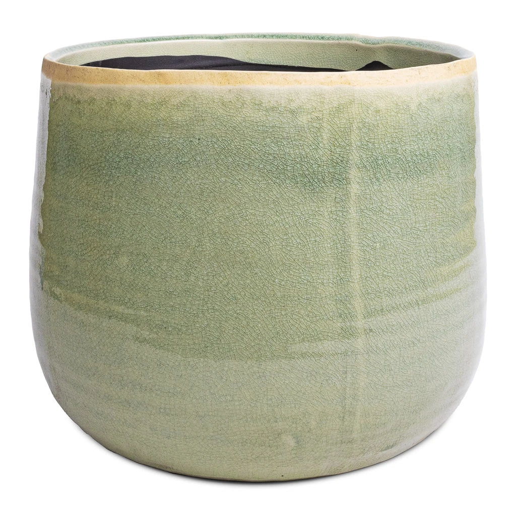 Iris Plant Pot - Mint 13 Iris Plant Pot - Mint - Image 11