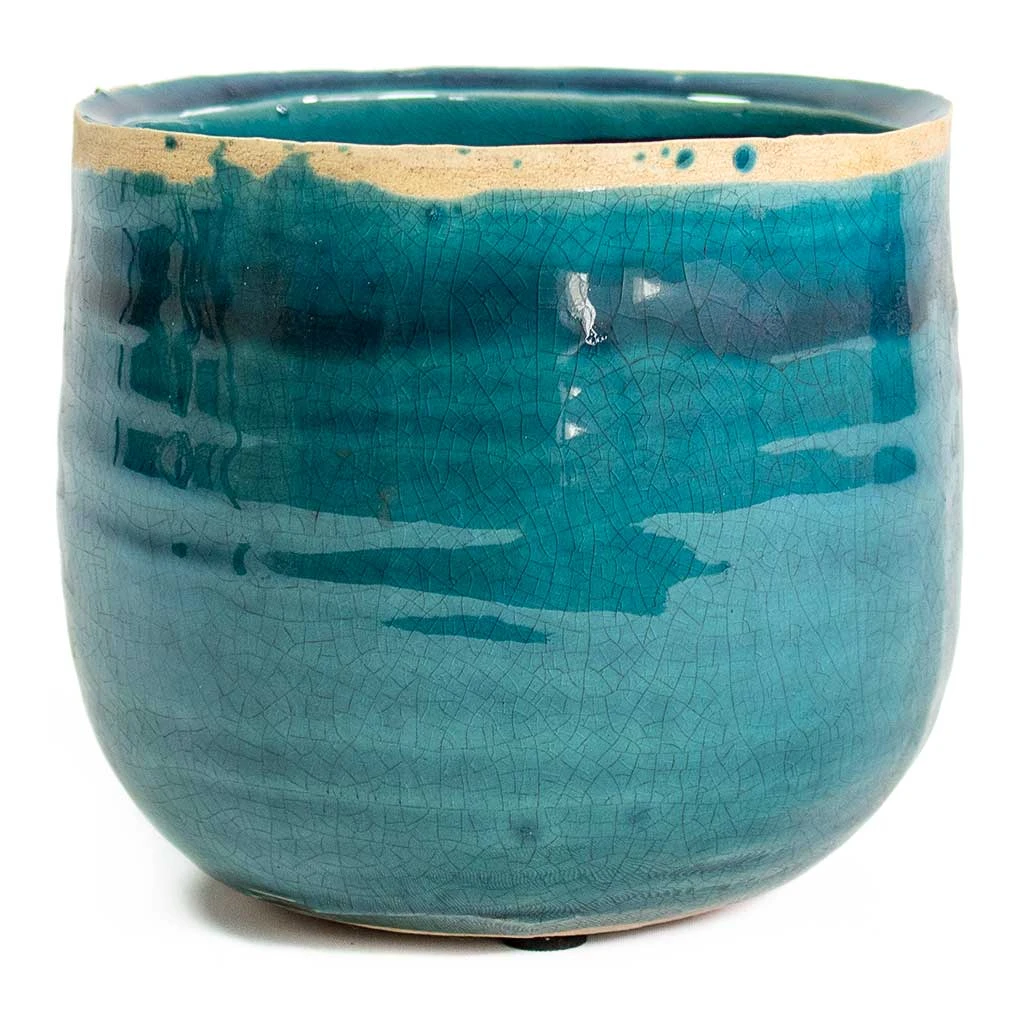 Iris Plant Pot - Turquoise 19 Iris Plant Pot - Turquoise - Image 17