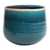 Iris Plant Pot - Turquoise