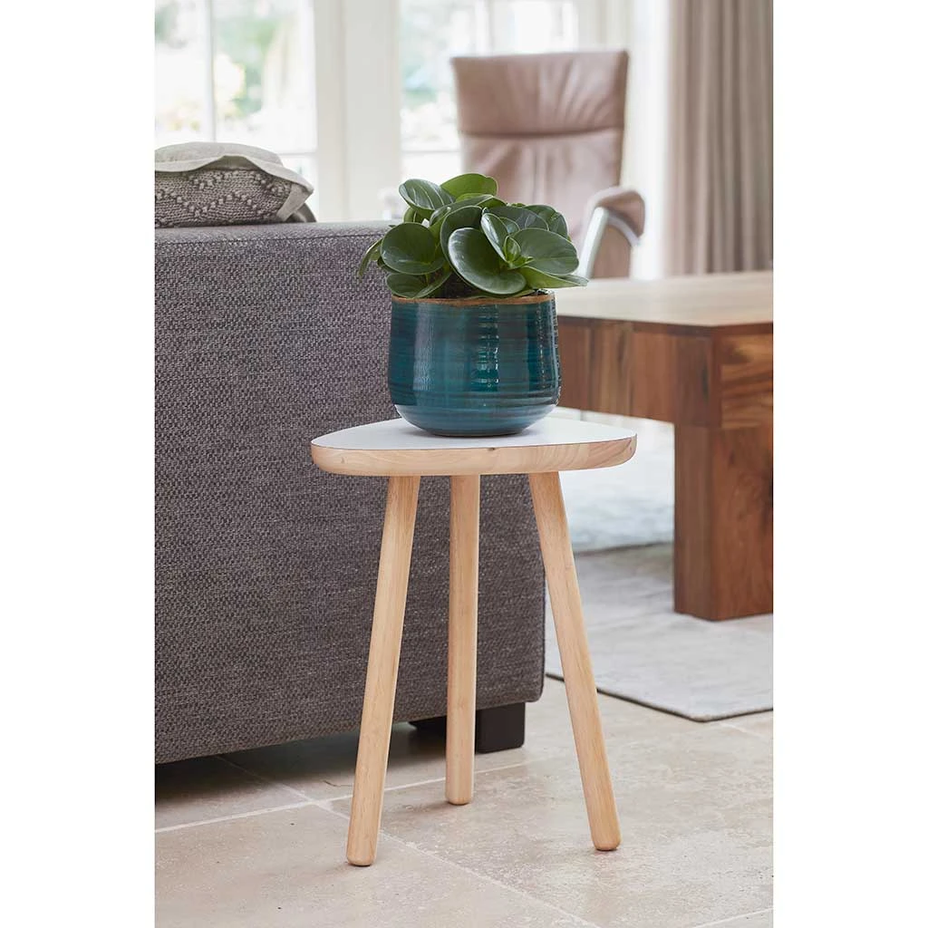 Iris Plant Pot - Turquoise 16 Iris Plant Pot - Turquoise - Image 14